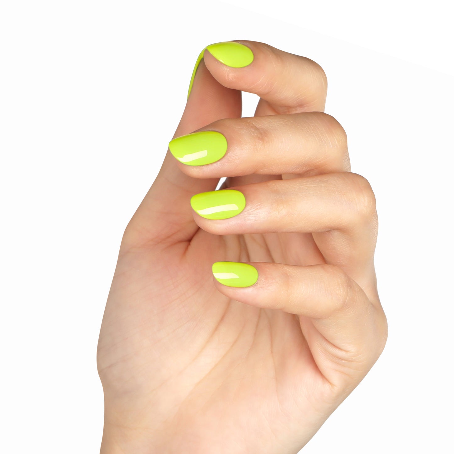 Bluesky Spring Summer 2024 Gel Polish – Lime Adventure (SS2419) | 10ml